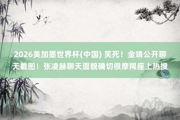 2026美加墨世界杯(中國) 笑死！金靖公開聊天截圖！張凌赫聊天面貌確切很摩羯座上熱搜