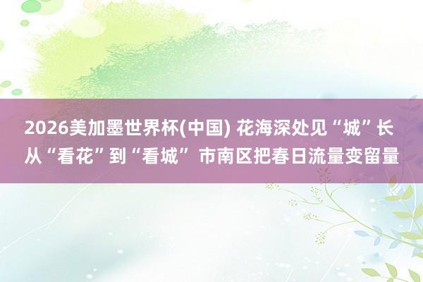 2026美加墨世界杯(中國) 花海深處見“城”長 從“看花”到“看城” 市南區把春日流量變留量