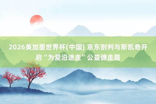 2026美加墨世界杯(中國) 京東剖判與斯凱奇開啟“為愛沿途走”公益健走路
