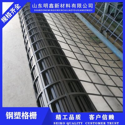 景德鎮鋼塑土工格柵-實體工廠