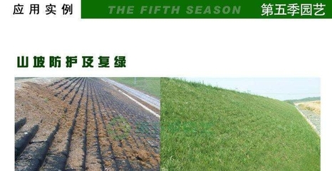 喀什鋼塑格柵工廠與山東土工材料基地 鋼塑土工格柵產業的地理紐帶